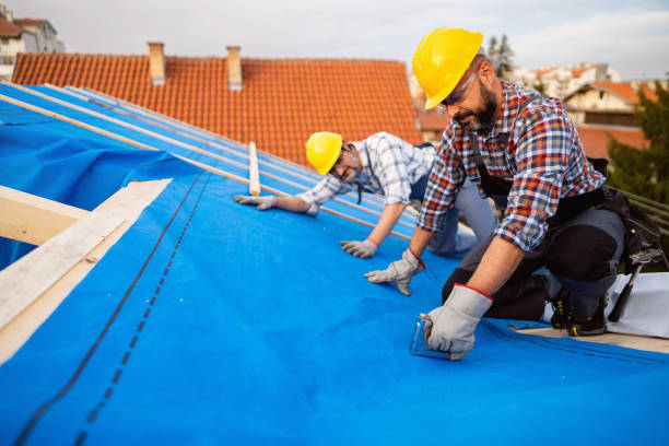Best Metal Roofing Contractor  in Cimarron, KS